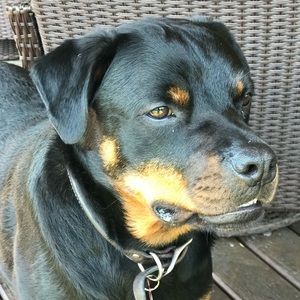 Meet your Posher, Lori